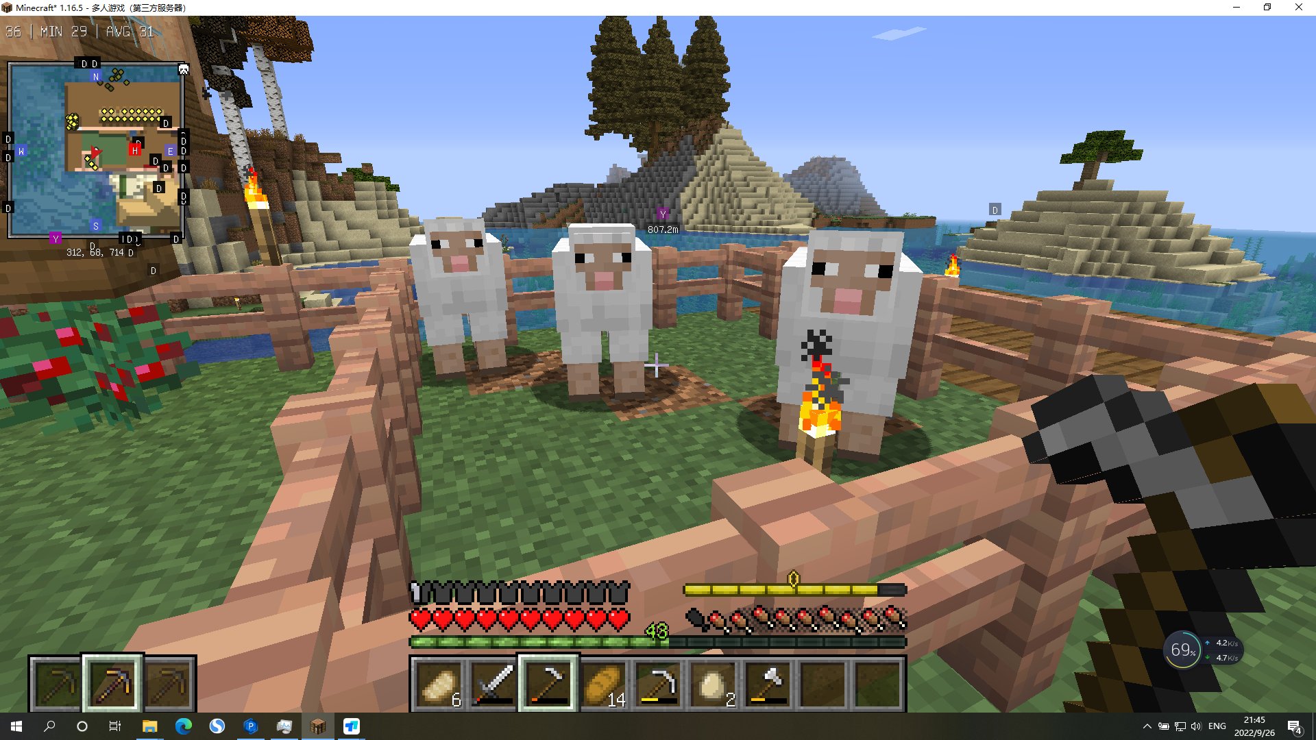 星露谷物语 豪华版 截图2